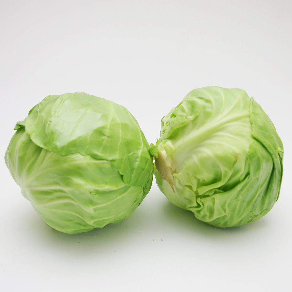 【燎原特惠】新鮮甘藍(lán)綠色種植綠色無公害蔬菜新鮮青菜順豐